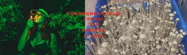 шишки Абдулино