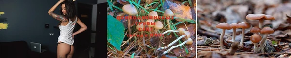 шишки Абдулино
