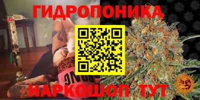 прущая мука Малгобек